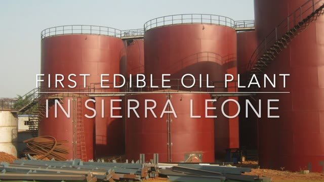 First Edible Oil Plant